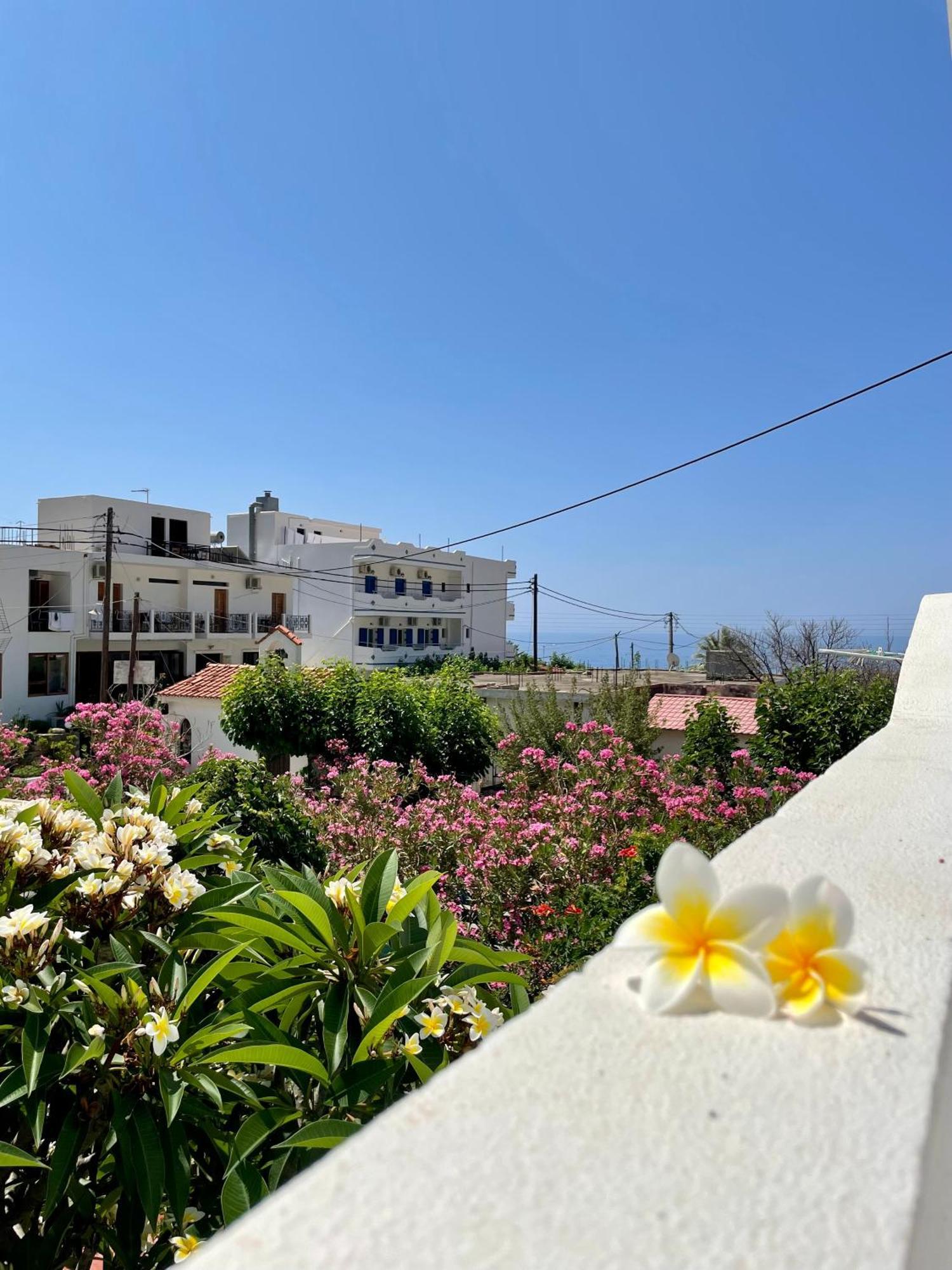 Panorama Rooms Agia Roumeli Eksteriør bilde